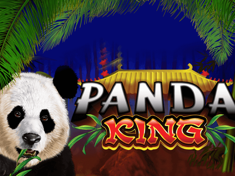 wild panda pokies real money